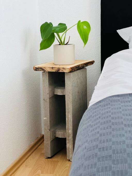 Zentrales Grosszuegiges Apartment Mit Dachterrasse! Bochum Buitenkant foto
